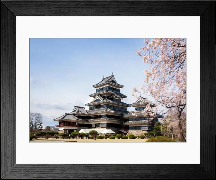 Framed Print : Matsumoto Castle during cherry blossom (Sakura) is one of the most famous sights in Matsumoto, Nagano, Japan. Japan tourism, history building, or trad Framed Print : Matsumoto Castle during cherry blossom (Sakura) is one of the most famous sights in Matsumoto, Nagano, Japan. Japan tourism, history building, or trad