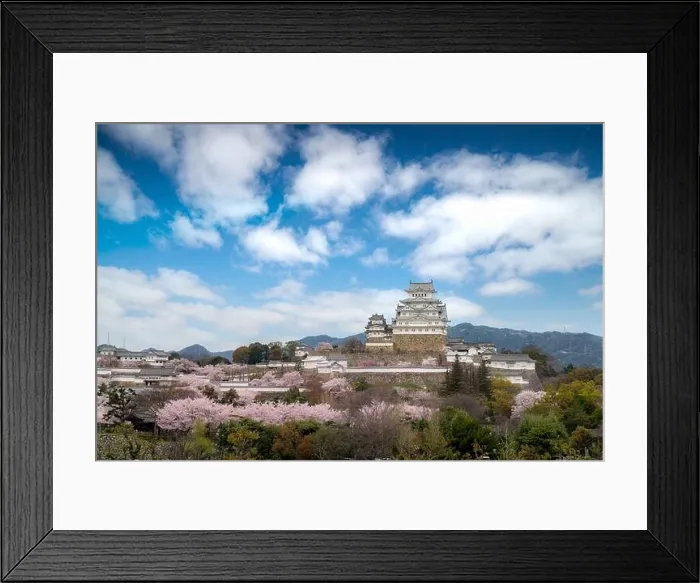 Framed Print : Cherry blossom flowers season during spring season with Himeji castle and nice sky cloud in Himeji city, Hyogo near Osaka, Japan. Japan tourism, histo Framed Print : Cherry blossom flowers season during spring season with Himeji castle and nice sky cloud in Himeji city, Hyogo near Osaka, Japan. Japan tourism, histo
