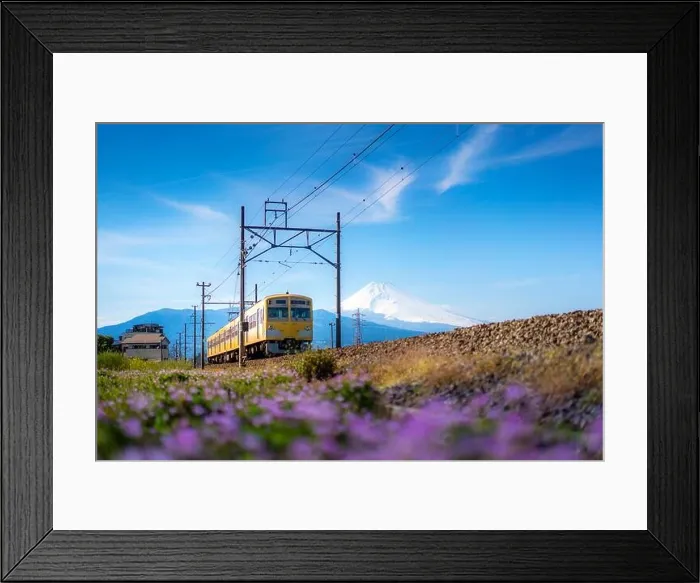 Framed Print : A local train of JR Izuhakone Tetsudo-Sunzu Line traveling through the countryside on a sunny spring day and Mt. Fuji in Mishima, Shizuoka, Japan Framed Print : A local train of JR Izuhakone Tetsudo-Sunzu Line traveling through the countryside on a sunny spring day and Mt. Fuji in Mishima, Shizuoka, Japan