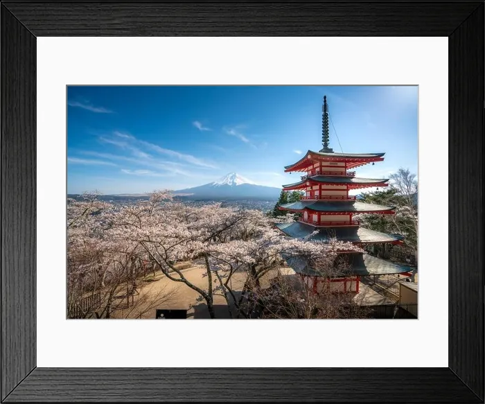 Framed Print : Fujiyoshida, Japan at Chureito Pagoda and Mt. Fuji in the spring with cherry blossoms full bloom during sunrise. Japan Landscape and nature travel, or Framed Print : Fujiyoshida, Japan at Chureito Pagoda and Mt. Fuji in the spring with cherry blossoms full bloom during sunrise. Japan Landscape and nature travel, or