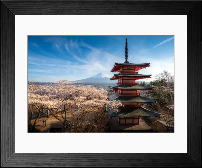 Framed Print : Fujiyoshida, Japan at Chureito Pagoda and Mt. Fuji in the spring with cherry blossoms full bloom during sunrise. Japan Landscape and nature travel, or Framed Print : Fujiyoshida, Japan at Chureito Pagoda and Mt. Fuji in the spring with cherry blossoms full bloom during sunrise. Japan Landscape and nature travel, or