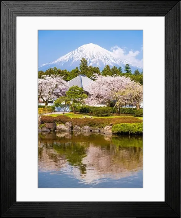 Framed Print : Fujinomiya, Shizuoka, Japan with Mt. Fuji in spring Framed Print : Fujinomiya, Shizuoka, Japan with Mt. Fuji in spring