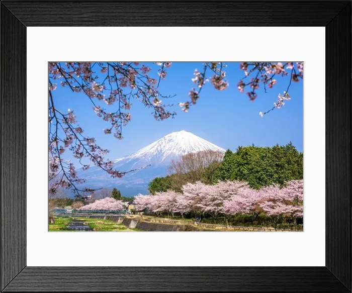 Framed Print : Mt. Fuji viewed from rural Shizuoka Prefecture in spring season