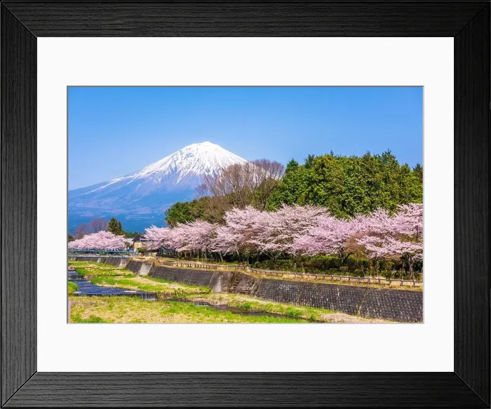 Framed Print : Mt. Fuji viewed from rural Shizuoka Prefecture in spring season Framed Print : Mt. Fuji viewed from rural Shizuoka Prefecture in spring season