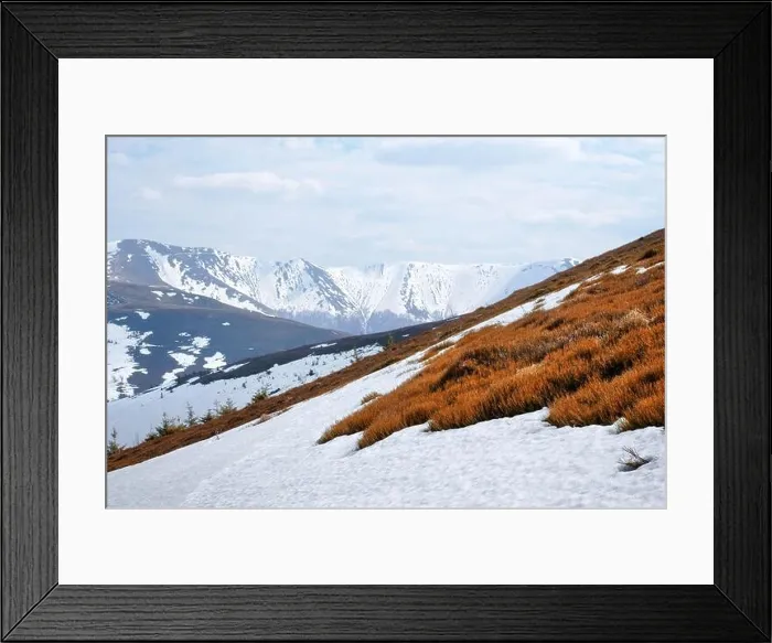 Framed Print : Snowy hills with red blueberry bushs in spring mountains. Landscape photography Framed Print : Snowy hills with red blueberry bushs in spring mountains. Landscape photography