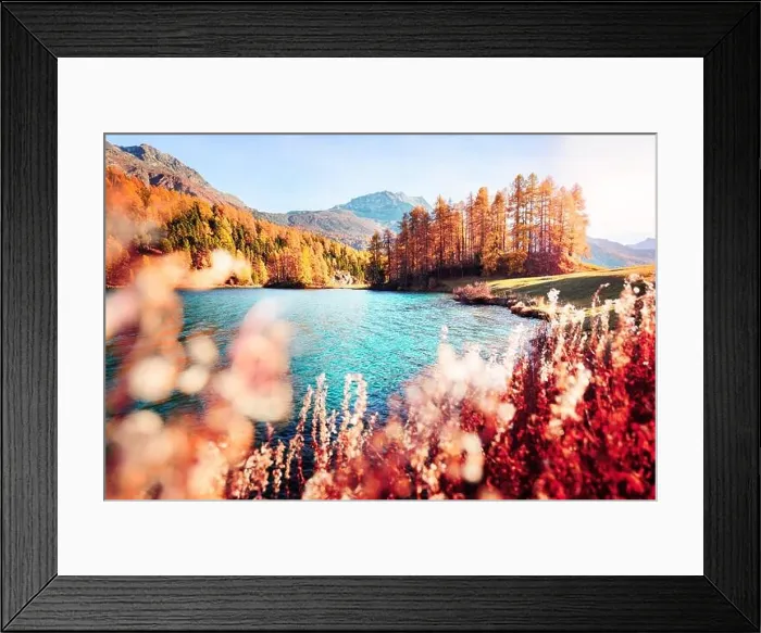Framed Print : Picturesque view on Silvaplana lake in Swiss Alps, Switzerland. Landscape photography Framed Print : Picturesque view on Silvaplana lake in Swiss Alps, Switzerland. Landscape photography