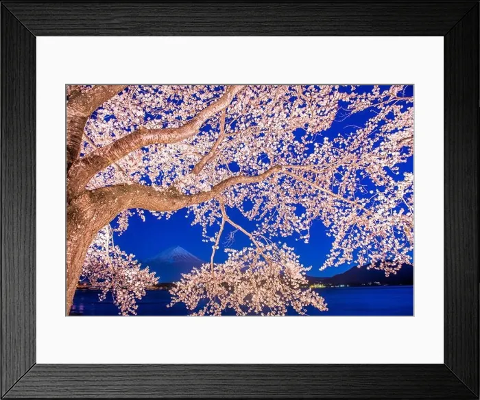 Framed Print : Mt. Fuji, Japan on Lake Kawaguchi during spring season Framed Print : Mt. Fuji, Japan on Lake Kawaguchi during spring season