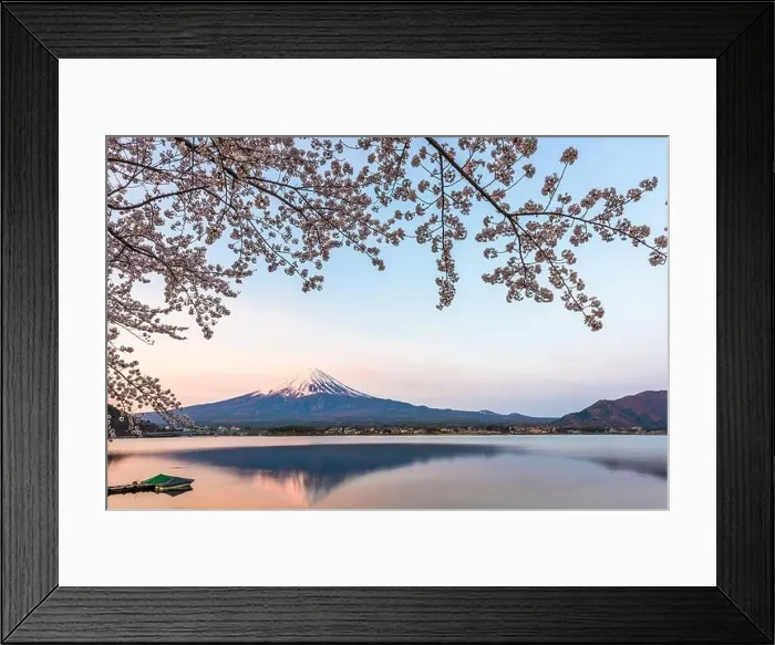 Framed Print : Mt. Fuji, Japan on Lake Kawaguchi during spring season Framed Print : Mt. Fuji, Japan on Lake Kawaguchi during spring season