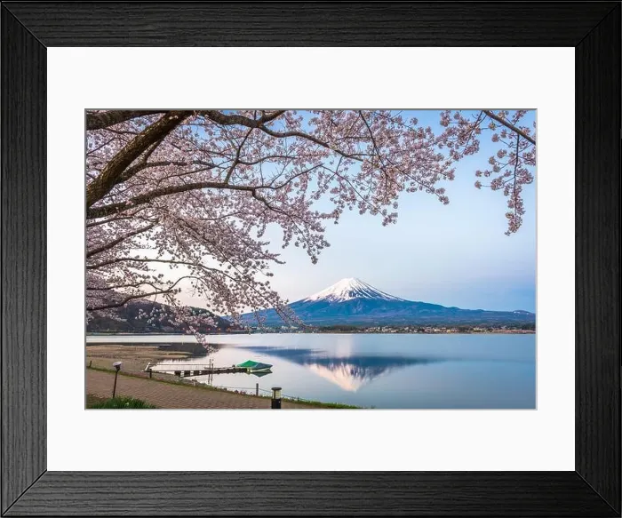 Framed Print : Mt. Fuji, Japan on Lake Kawaguchi during spring season Framed Print : Mt. Fuji, Japan on Lake Kawaguchi during spring season