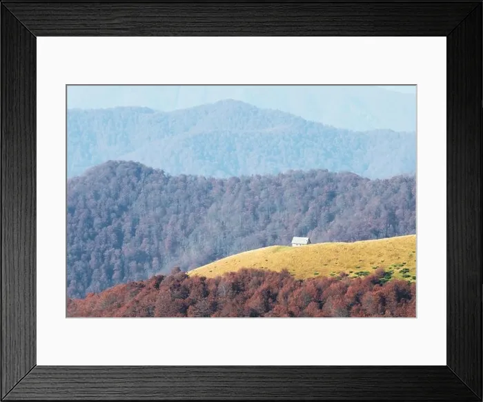 Framed Print : Picturesque autumn meadow with wooden house and red beech trees in the Carpathian mountains, Ukraine. Landscape photography Framed Print : Picturesque autumn meadow with wooden house and red beech trees in the Carpathian mountains, Ukraine. Landscape photography