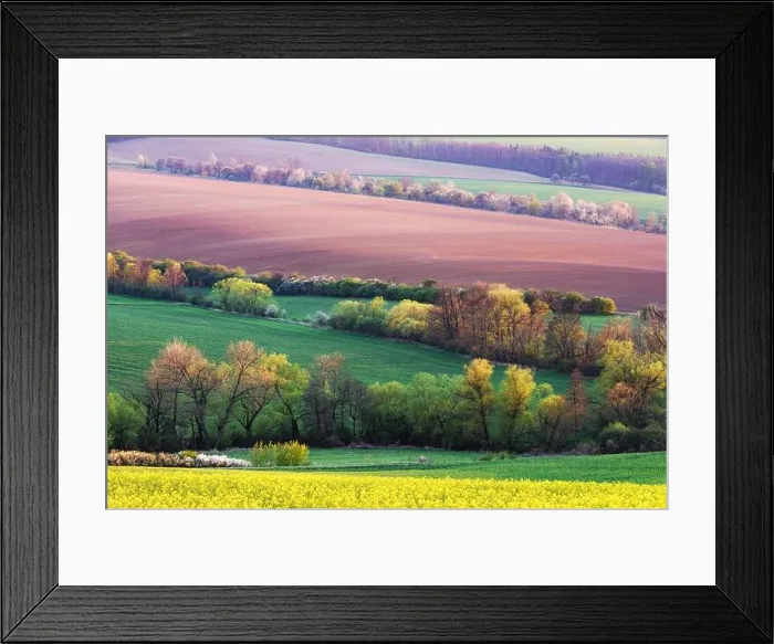 Framed Print : Picturesque rural landscape with green agricultural field and trees on spring hills. South Moravia region, Czech Republic Framed Print : Picturesque rural landscape with green agricultural field and trees on spring hills. South Moravia region, Czech Republic