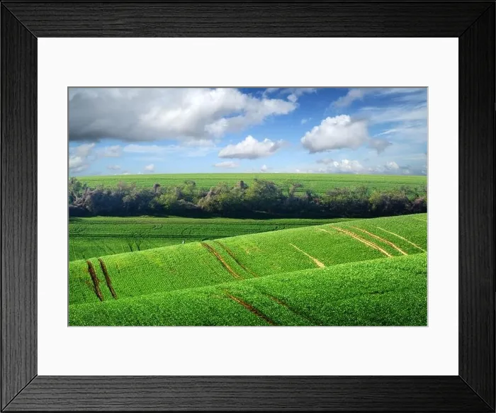 Framed Print : Picturesque rural landscape with green agricultural field and trees on spring hills. South Moravia region, Czech Republic Framed Print : Picturesque rural landscape with green agricultural field and trees on spring hills. South Moravia region, Czech Republic