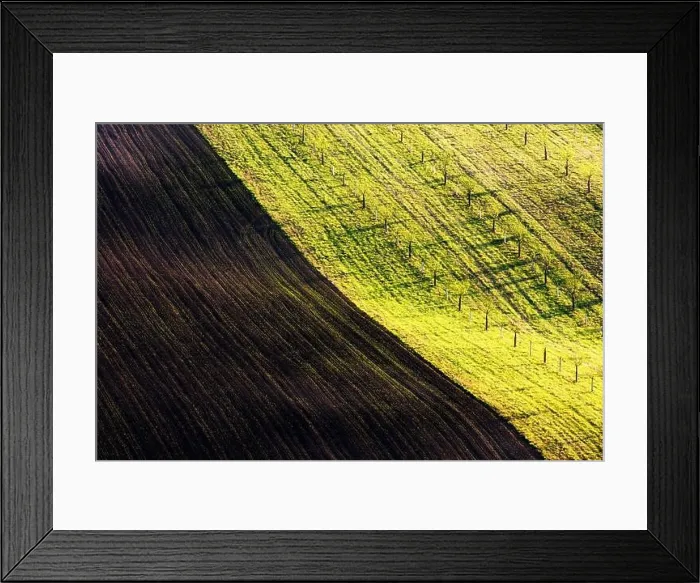 Framed Print : Rural spring landscape with colored striped hills. Green and brown waves of the agricultural fields of South Moravia, Czech Republic