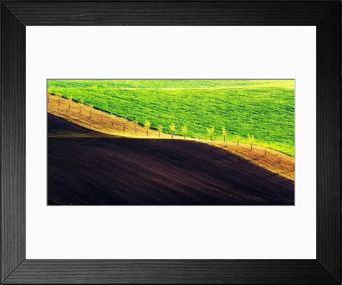 Framed Print : Rural spring landscape with colored striped hills. Green and brown waves of the agricultural fields of South Moravia, Czech Republic Framed Print : Rural spring landscape with colored striped hills. Green and brown waves of the agricultural fields of South Moravia, Czech Republic