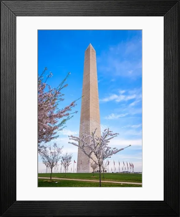 Framed Print : Washington DC, USA in spring season on the National Mall Framed Print : Washington DC, USA in spring season on the National Mall