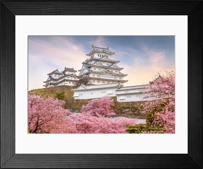 Framed Print : Himeji, Japan at Himeji Castle in spring with cherry blossoms in full bloom Framed Print : Himeji, Japan at Himeji Castle in spring with cherry blossoms in full bloom