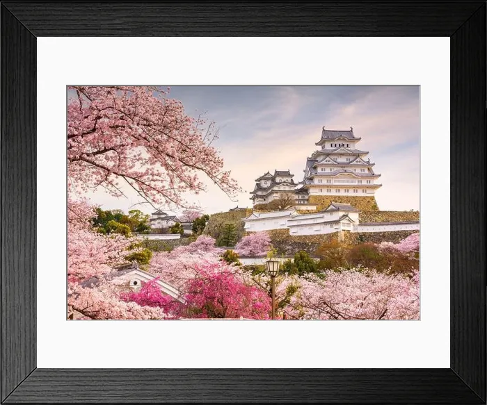 Framed Print : Himeji, Japan at Himeji Castle in spring with cherry blossoms in full bloom Framed Print : Himeji, Japan at Himeji Castle in spring with cherry blossoms in full bloom