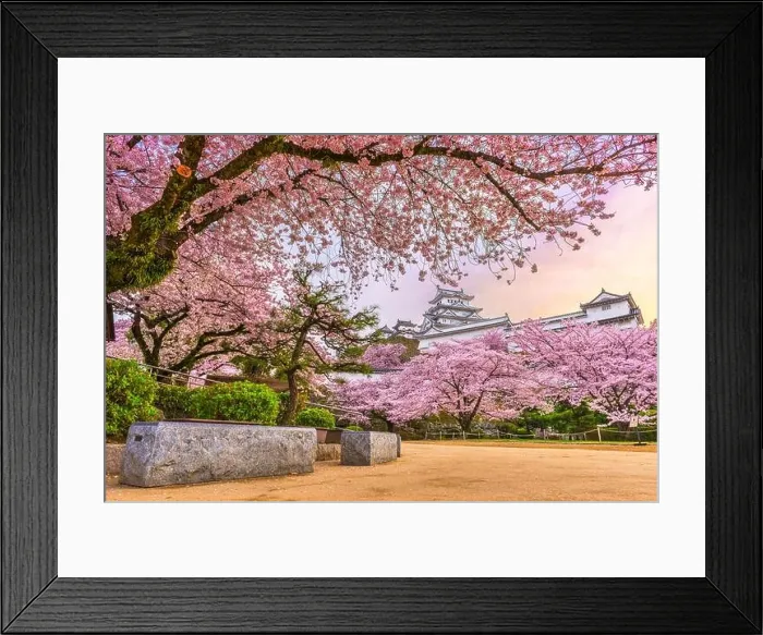 Framed Print : Himeji, Japan at Himeji Castle in spring with cherry blossoms in full bloom Framed Print : Himeji, Japan at Himeji Castle in spring with cherry blossoms in full bloom