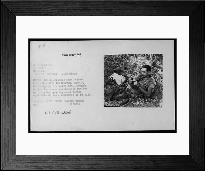 Framed Print : A Marine, Private First Class Louis Esposito, from the 3rd Battalion, 7th Marine Regiment, is seen supplementing rations with a captured pineapple Framed Print : A Marine, Private First Class Louis Esposito, from the 3rd Battalion, 7th Marine Regiment, is seen supplementing rations with a captured pineapple