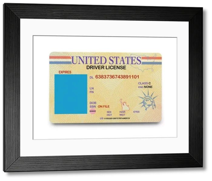 Framed Print : US Driver License with Copy Space Isolated on White Background Framed Print : US Driver License with Copy Space Isolated on White Background