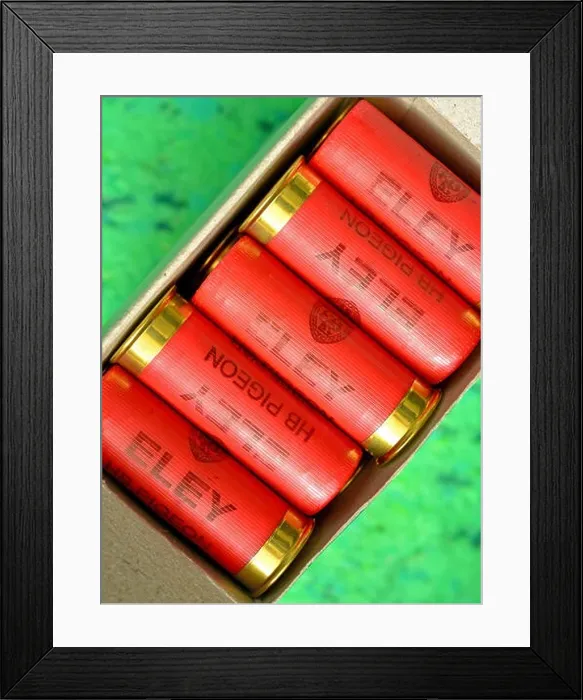 Framed Print : Red 12 bore shotgun cartridges Framed Print : Red 12 bore shotgun cartridges