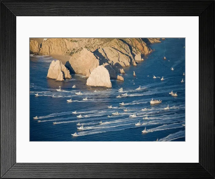 Framed Print : cabo san lucas fishing tournament Framed Print : cabo san lucas fishing tournament