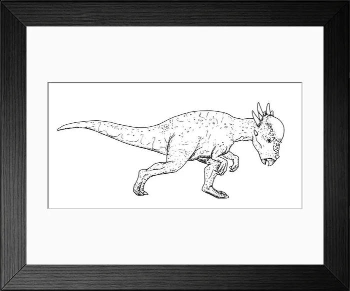 Framed Print : Drawing of dinosaur - hand sketch of Stygimoloch, black and white illustration Framed Print : Drawing of dinosaur - hand sketch of Stygimoloch, black and white illustration