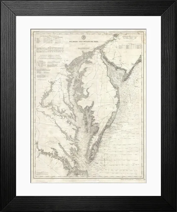 Framed Print : 1893 U.S. Coast Survey Nautical Chart or Map of the Chesapeake Bay and Delaware Bay - Framed Print : 1893 U.S. Coast Survey Nautical Chart or Map of the Chesapeake Bay and Delaware Bay -