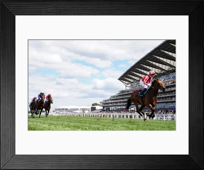 Framed Print : Isle Of Jura ridden by Callum Shepherd wins the Hardwicke Stakes during day five of Royal Ascot at Ascot Racecourse, Berkshire Framed Print : Isle Of Jura ridden by Callum Shepherd wins the Hardwicke Stakes during day five of Royal Ascot at Ascot Racecourse, Berkshire