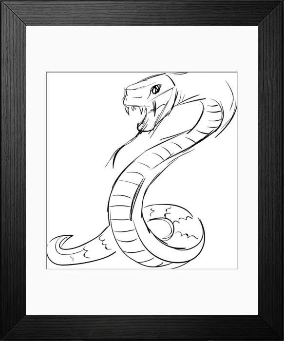 Framed Print : Snake drawing, illustration, vector on white background Framed Print : Snake drawing, illustration, vector on white background