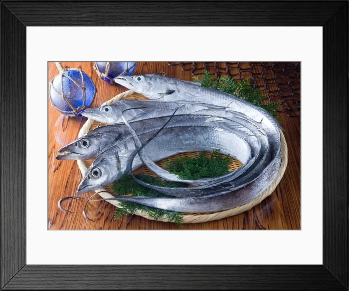 Framed Print : Largehead Hairtail Framed Print : Largehead Hairtail