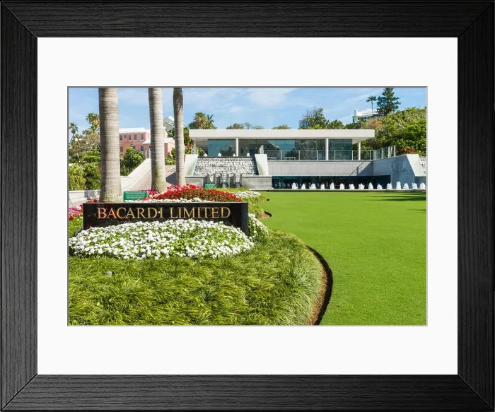 Framed Print : Lush gardens at the world headquarters of the Bacardi brand of rum, Hamilton, Bermuda. Designed by Mies van der Rohe Framed Print : Lush gardens at the world headquarters of the Bacardi brand of rum, Hamilton, Bermuda. Designed by Mies van der Rohe