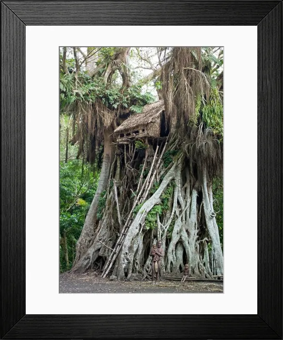 Framed Print : Vanuatu, Tafea Province, Tanna Island, Yakel Kastom Village, man and children in traditional dress in front of a tree house Framed Print : Vanuatu, Tafea Province, Tanna Island, Yakel Kastom Village, man and children in traditional dress in front of a tree house
