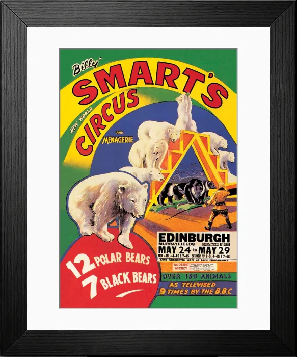Framed Print : Billy Smart's New World Circus and Menagerie: 12 Polar Bears, 7 Black Bears Framed Print : Billy Smart's New World Circus and Menagerie: 12 Polar Bears, 7 Black Bears