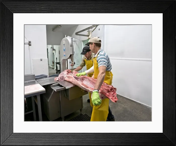 Framed Print : Two butchers quartering hog carcass, Delta Meat & Sausage Framed Print : Two butchers quartering hog carcass, Delta Meat & Sausage