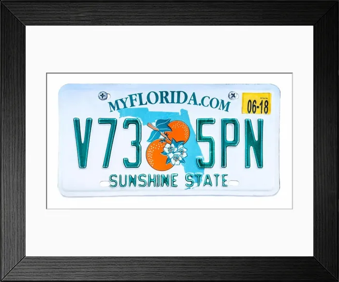 Framed Print : Florida license plate; vehicle registration number. Florida Sunshine State number plate Framed Print : Florida license plate; vehicle registration number. Florida Sunshine State number plate