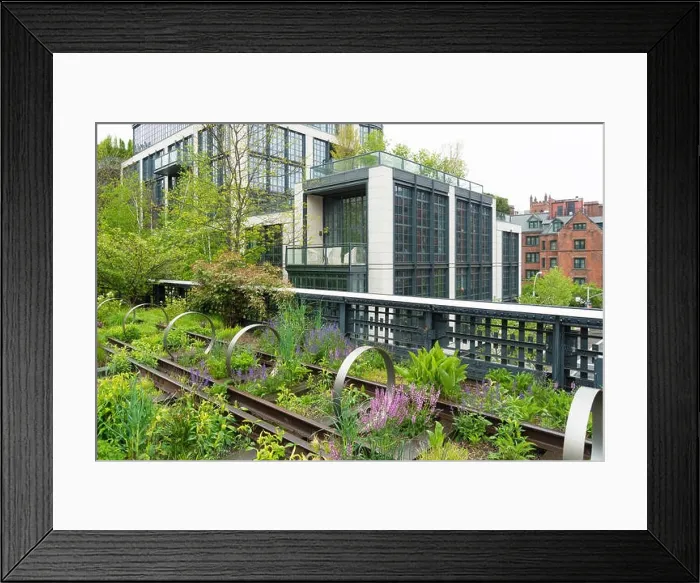 Framed Print : Urban public park on a historic train freight line in Chelsea, Manhattan Framed Print : Urban public park on a historic train freight line in Chelsea, Manhattan