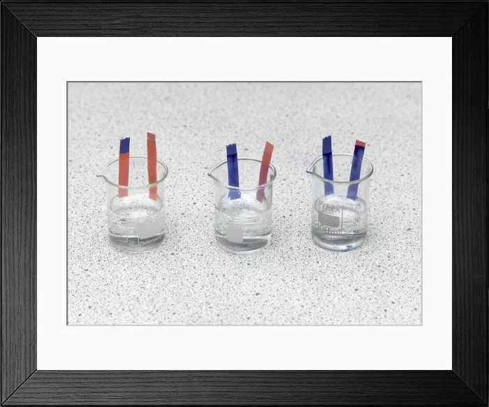 Framed Print : Litmus Paper in Use Blue Litmus Turns Red Under Acidic Conditiona and Red Litmus Turns Blue under Alkaline Conditions Framed Print : Litmus Paper in Use Blue Litmus Turns Red Under Acidic Conditiona and Red Litmus Turns Blue under Alkaline Conditions