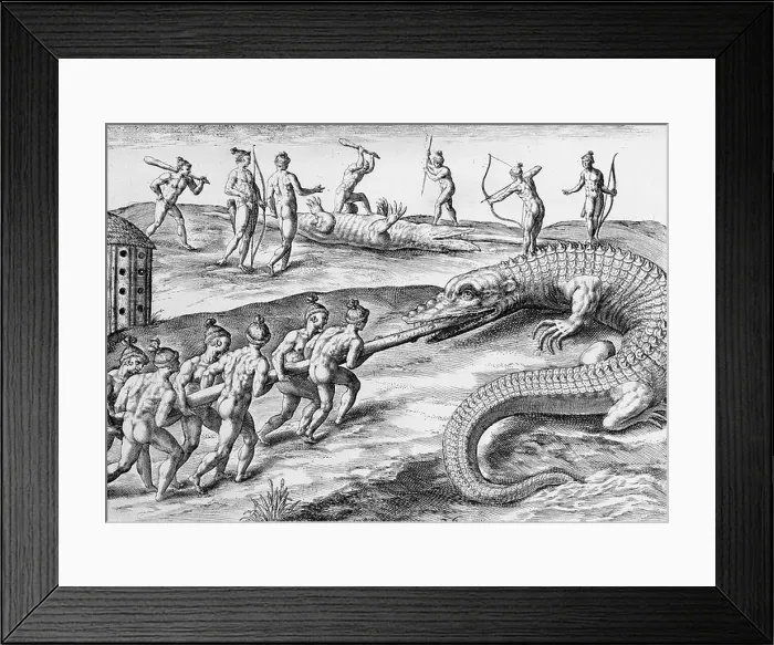 Framed Print : Timucua Indians killing alligators Framed Print : Timucua Indians killing alligators