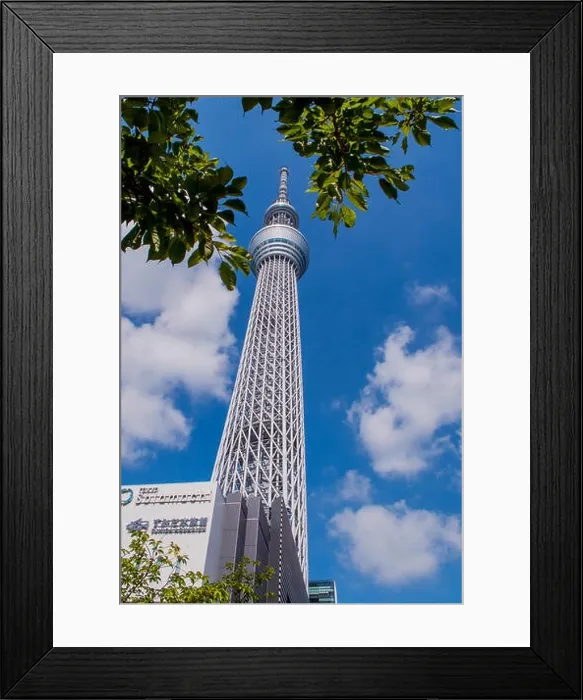 Framed Print : Tokyo Skytree Framed Print : Tokyo Skytree