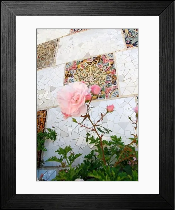 Framed Print : Wall with broken glass mosaic tiles as ceramic art with the pink roses as blur foreground in Park Guell, Barcelona, Spain Framed Print : Wall with broken glass mosaic tiles as ceramic art with the pink roses as blur foreground in Park Guell, Barcelona, Spain