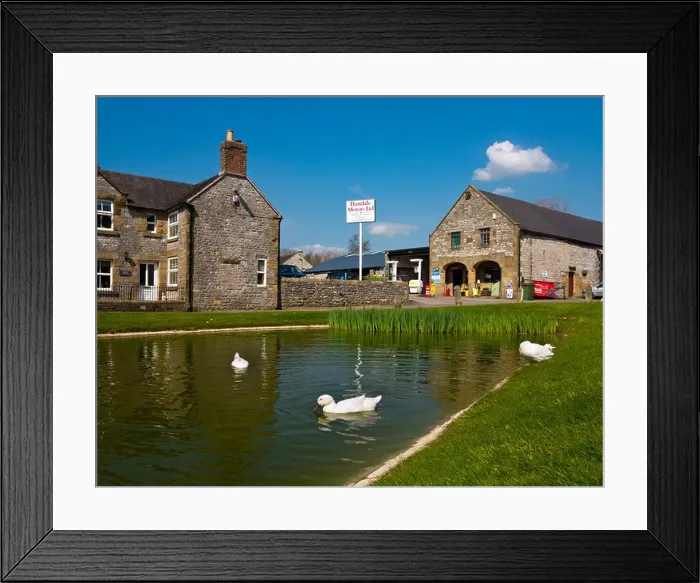 Framed Print : The duck pond in Hartington village in the Peak District National Park Derbyshire England UK Framed Print : The duck pond in Hartington village in the Peak District National Park Derbyshire England UK