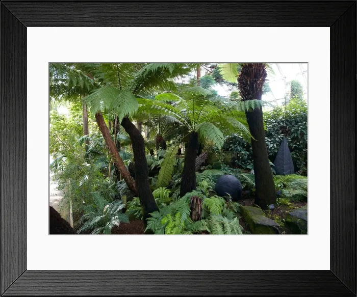 Framed Print : Temperate House, Kew Gardens, London, UK Framed Print : Temperate House, Kew Gardens, London, UK