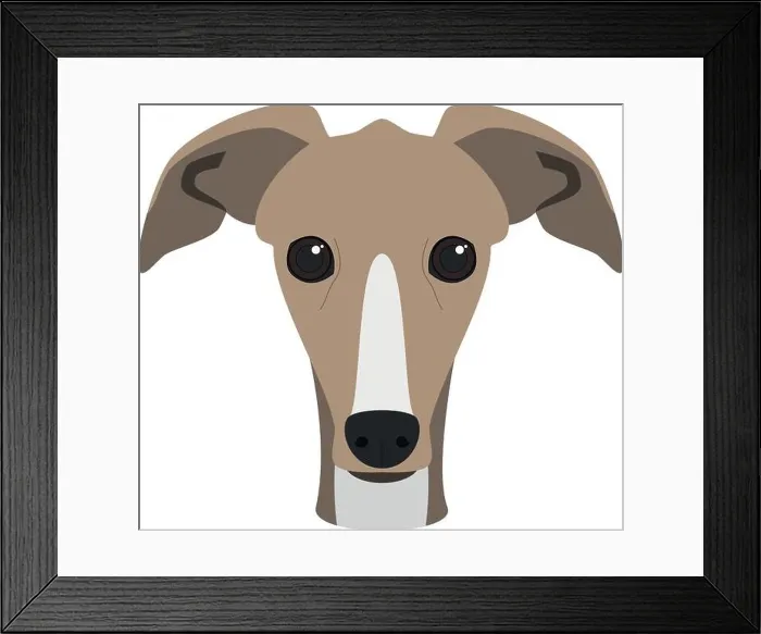 Framed Print : Greyhound dog isolated on white background vector illustration Framed Print : Greyhound dog isolated on white background vector illustration