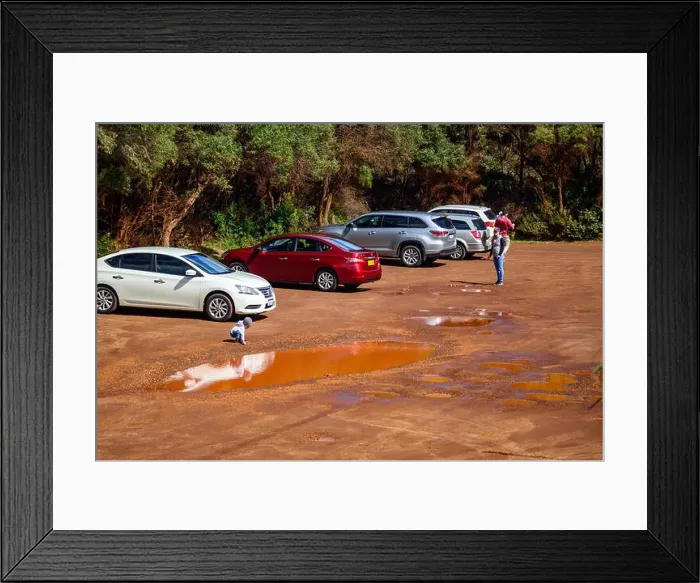 Framed Print : Child looking int a puddle on a parking lot, Australia Framed Print : Child looking int a puddle on a parking lot, Australia