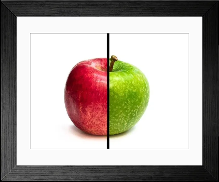 Framed Print : concept of comparison green apple vs. red apple isolated on white background Framed Print : concept of comparison green apple vs. red apple isolated on white background