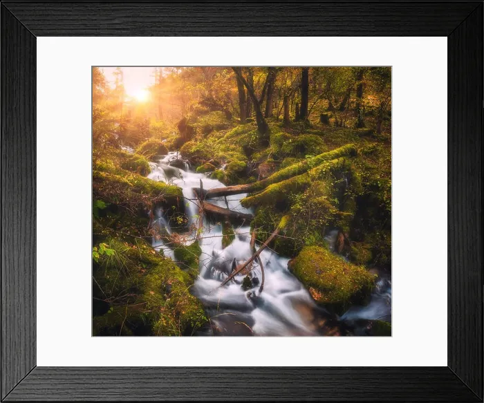 Framed Print : Colorful green forest with little waterfall at mountain river at sunset in autumn. Landscape with stones covered green moss in water, trees, waterfall Framed Print : Colorful green forest with little waterfall at mountain river at sunset in autumn. Landscape with stones covered green moss in water, trees, waterfall