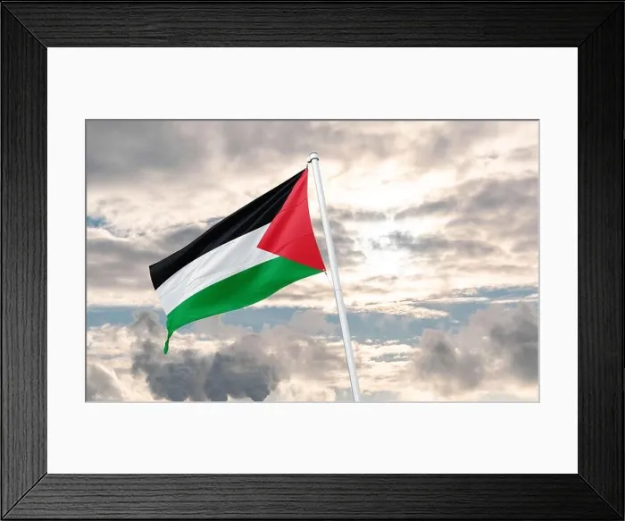 Framed Print : State of Palestine Flag of Palestine Framed Print : State of Palestine Flag of Palestine
