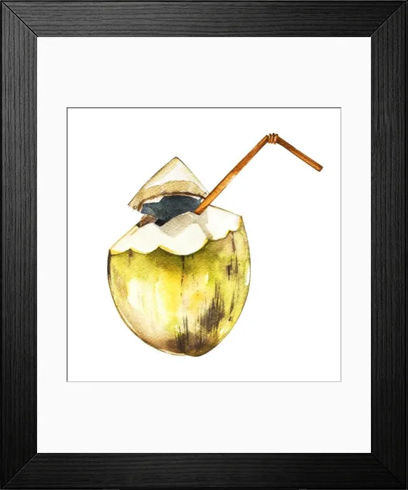 Framed Print : Coconut isolated on white background. Tropical set, Watercolor sketch object Framed Print : Coconut isolated on white background. Tropical set, Watercolor sketch object