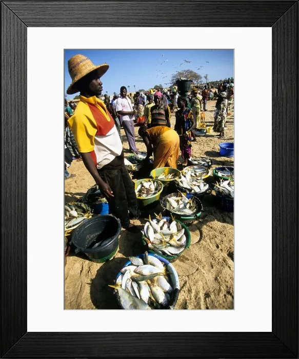 Framed Print : west africa gambia a crowded fish market on the beach Framed Print : west africa gambia a crowded fish market on the beach
